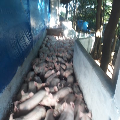 Profile Picture of Marcílio Rocha Dos Santos (@MarclioRochaDo1) on Twitter