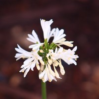 Profile Picture of Keeks  (@keeks-4) on Quora