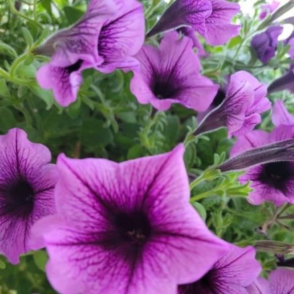 Profile Picture of Lucy villafane Weady (@l_weady) on Poshmark