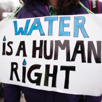 Profile Picture of Flint Lives Matter - Flint Water Crisis (Liz Gray) (@FlintSeniorProj) on Twitter