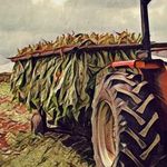 Profile Picture of Mark Spiller (@mark.spiller.50) on Instagram