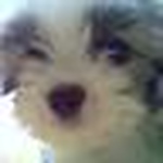 Profile Picture of Jimmy Oliver (@my_dear_pets) on Flickr