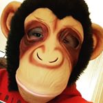 Profile Picture of Albert Salido Roig (@albertsaro) on Instagram