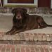 Profile Picture of Cathy Mizell (@cathy.mizell.73) on Facebook