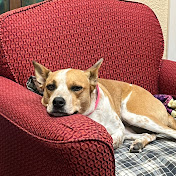 Profile Picture of Lawrence Haas (@lawrencehaas428) on Youtube