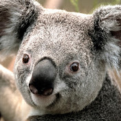 Profile Picture of Trinity Hanson (@RockingBeautyQueen) on Youtube