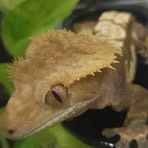 Profile Picture of Marko Geroč (@Marko-Geroč) on Facebook