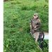 Profile Picture of Luke Gilstrap (@Luke-Gilstrap) on Facebook