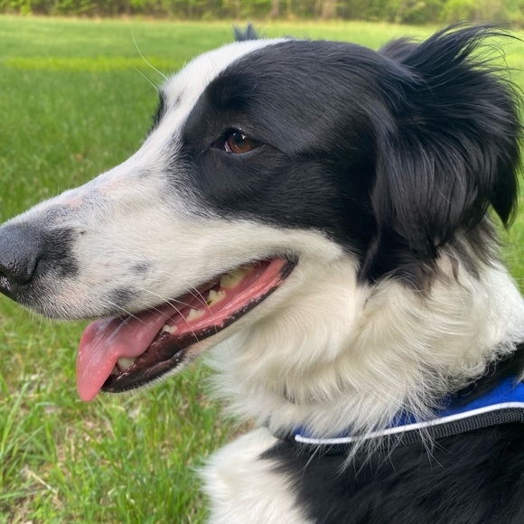 Profile Picture of Vivian Anshutz (@viviananshutz) on Poshmark