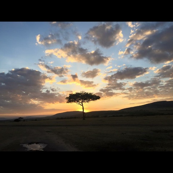 Profile Picture of Eduardo Alvarez (@eaponce13) on Poshmark