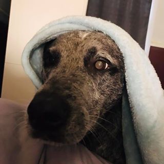 Profile Picture of Candace Fox (@candace.fox.712) on Facebook