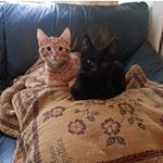 Profile Picture of Stephen Rowlands (@stephen.rowlands.1257) on Instagram