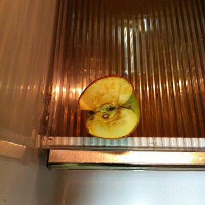 Profile Picture of Corey H. MacIntosh (@ToshHalfPointOh) on Twitter