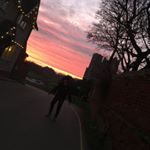 Profile Picture of Harry Murphy (@harry_murphy102) on Instagram