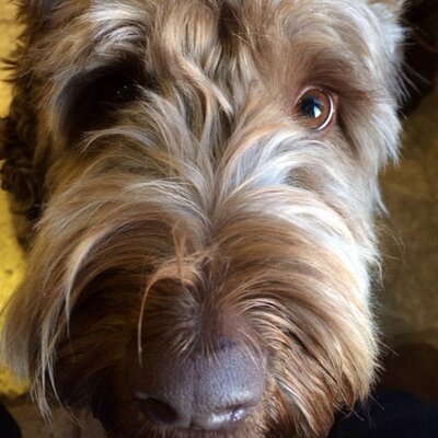 Profile Picture of Stephen Lickrish (@StephenLickrish) on Twitter