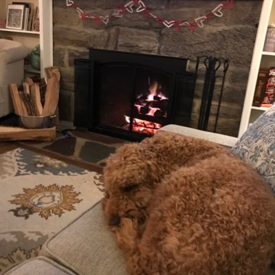 Profile Picture of Sara Taner (@SaraTaner5) on Twitter