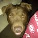 Profile Picture of Brian Altwies (@Brian-Altwies) on Facebook