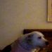 Profile Picture of Amber Burger (@amber.burger.56) on Facebook