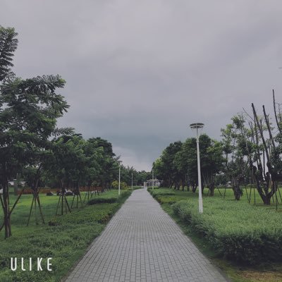 Profile Picture of Rex Chiu (@RexChiu20) on Twitter