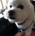 Profile Picture of Ray Porter (@ray.porter.98478) on Facebook