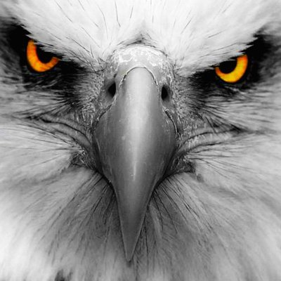 Profile Picture of David Whitesel (@Davidwhitesel3) on Twitter