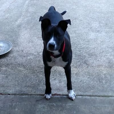 Profile Picture of Nolan Foster (@NolanFoster13) on Twitter