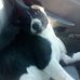 Profile Picture of Raymond Heck (@raymond.heck.121) on Facebook