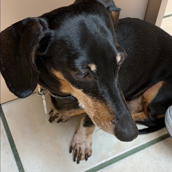 Profile Picture of Debra Lafranca (@ymca4deb) on Poshmark