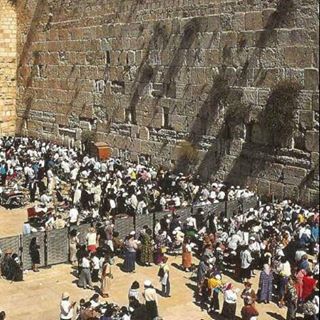 Profile Picture of Rogelio Cruz (@Rogelio-Cruz) on Facebook