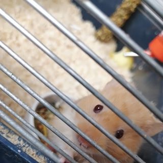 Profile Picture of Emely Joy Grasnick (@emelyjoy.grasnick) on Facebook