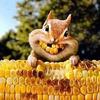 Profile Picture of David Gemmell (@@davidgemmell0) on Tiktok