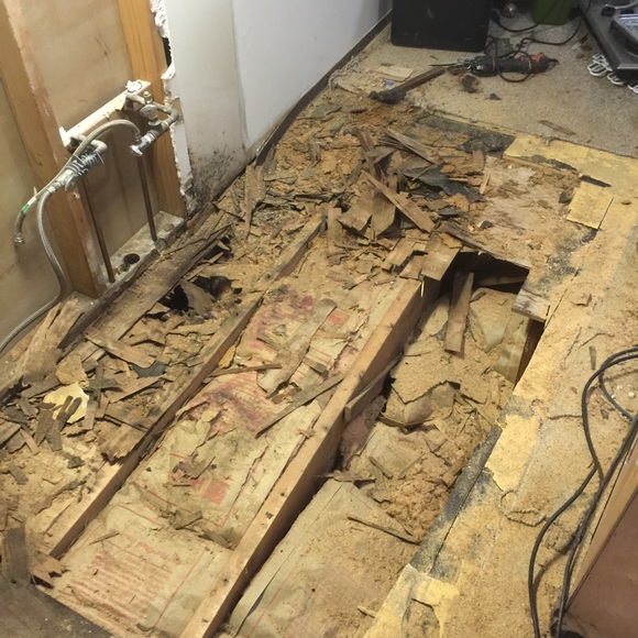 Profile Picture of Drew Woods (@drooman16) on Poshmark