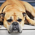 Profile Picture of David Dusol (@daviddu20) on Instagram