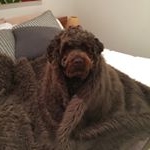 Profile Picture of lucas___adair (@lucas___adair) on Instagram