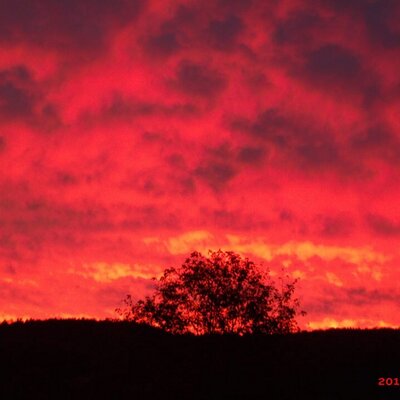 Profile Picture of Whitney Parson (@WhitneyParson1) on Twitter