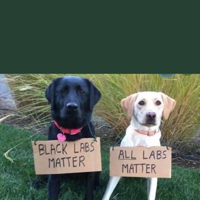 Profile Picture of Dave-Verlander (@bobalooboo1) on Twitter