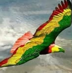 Profile Picture of Daron Hibbert (@Daron-Hibbert) on Facebook