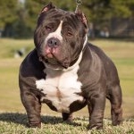 Profile Picture of Erik HoustonBoyz (@houston_boyz) on Instagram