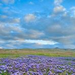 Profile Picture of David Dunbar (@David-Dunbar) on Facebook