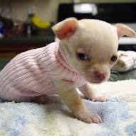 Profile Picture of Bianca Carreon (@biancacarreon32) on Twitter