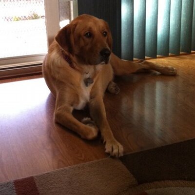 Profile Picture of Vijay Pendse (@PenvijayVijay) on Twitter