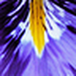 Profile Picture of David Spears (@histixdublin) on Flickr