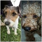 Profile Picture of P A U L A   &   S H Y L A (@pau.shy) on Instagram