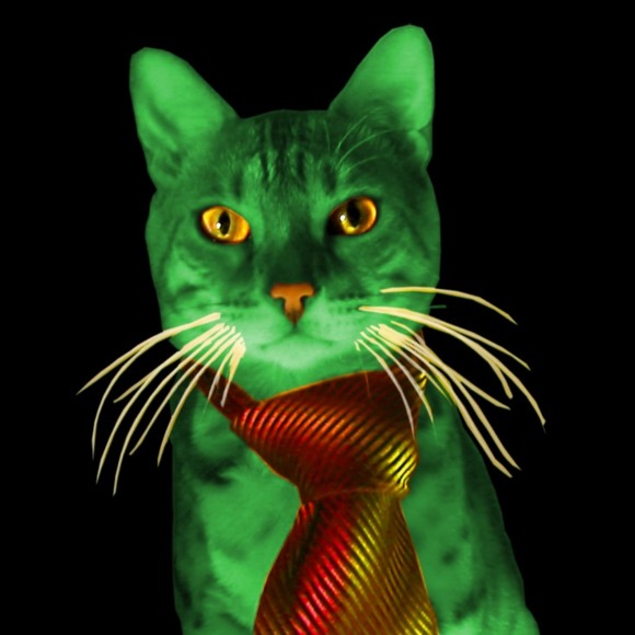 Profile Picture of Kristian Jaech (@rompcat) on Poshmark