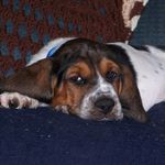 Profile Picture of James Seiferth (@that802guy) on Instagram