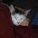 Profile Picture of Jody O'Neil Campbell (@jc4455) on Pinterest