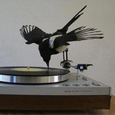 Profile Picture of Dj Ralph Perkins (@DjRalphPerkins) on Twitter