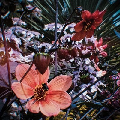 Profile Picture of Anders Gustafson (@AndersG49367106) on Twitter