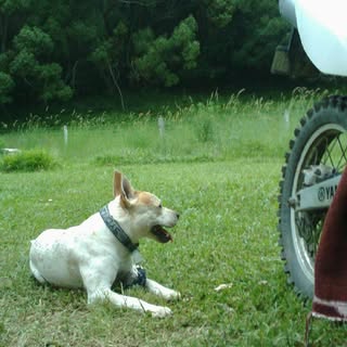 Profile Picture of Daniel Purnell (@daniel.purnell) on Instagram