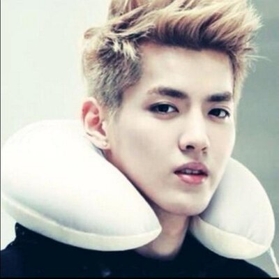 Profile Picture of Lucia Ha (@luciaha2) on Twitter